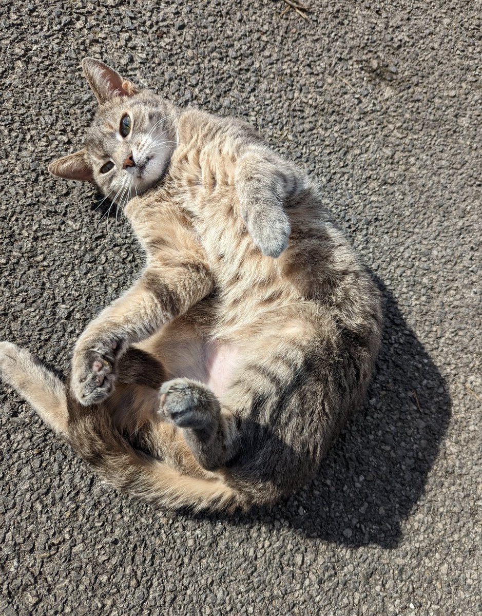 Chris Cook tweet media