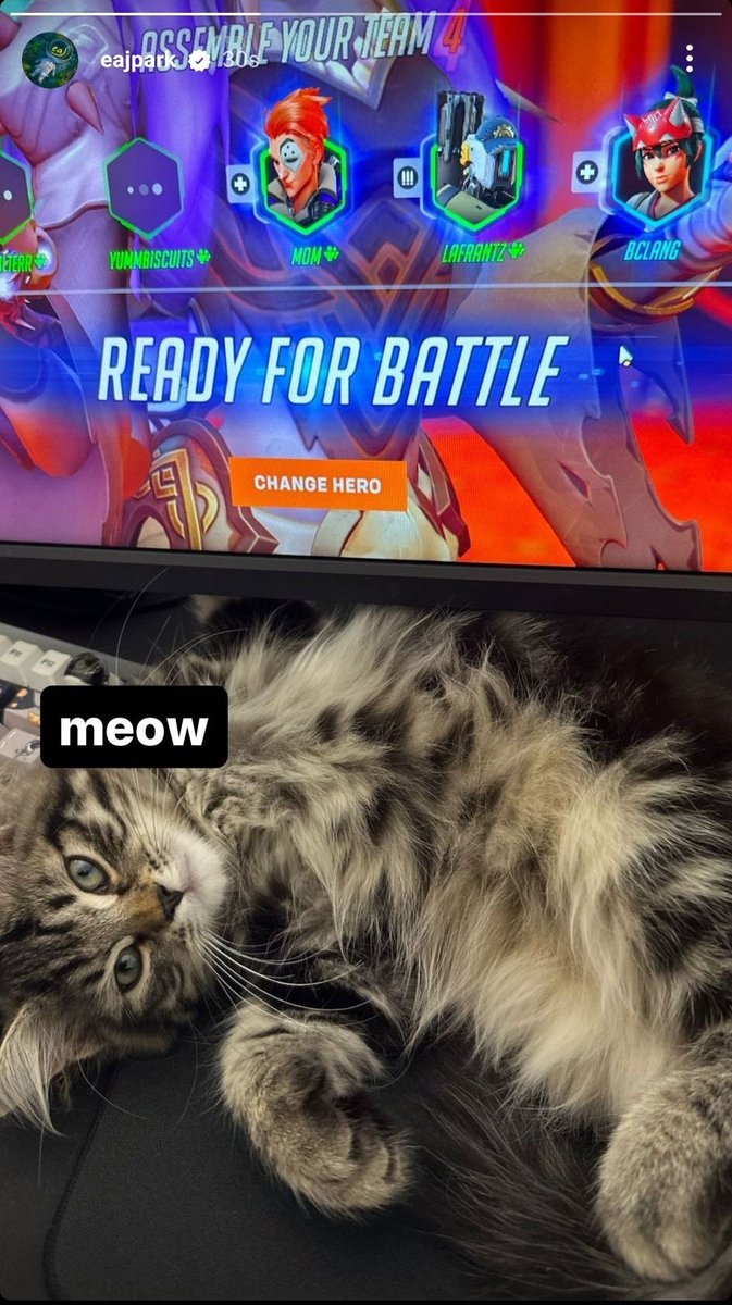 jaecattos's tweet photo. meow meow meow meow meow meow meow meow meow meow meow meow meow meow meow meow meow meow meow meow meow meow meow meow meow meow meow meow meow meow meow meow meow meow meow meow meow meow meow meow meow meow meow
#eaJ #제형 #제형이 #Jae #eaJPark #cat #peanut #butter @eajpark https://t.co/UbXb3wnqGJ