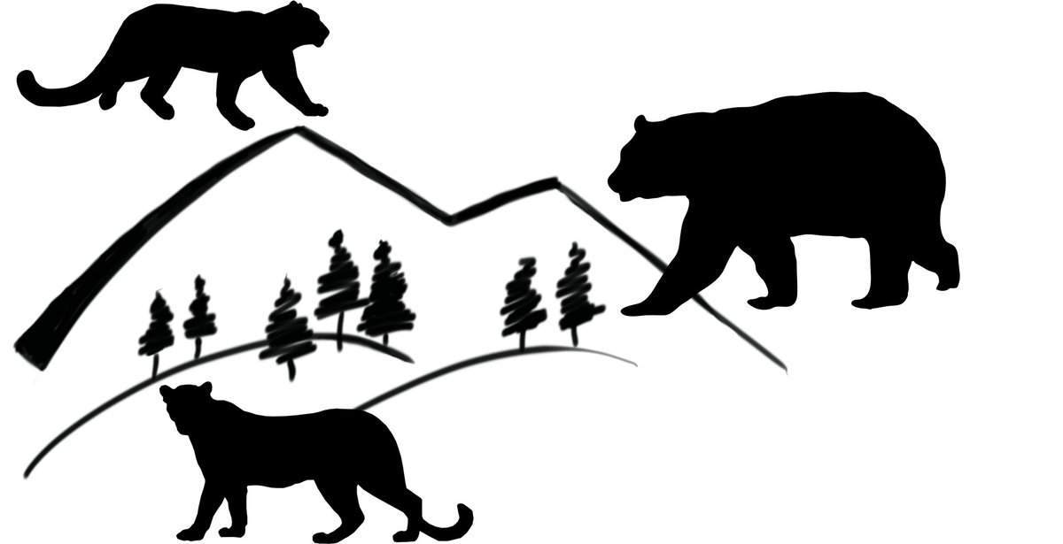 koustubh_sharma's tweet photo. #CommonLeopard, #SnowLeopard, and #AsiaticBlackBear serve as vital indicators of ecosystem health. Their presence or absence tells us a story of how our environment is faring.
2/14 https://t.co/qe934rZ6ow