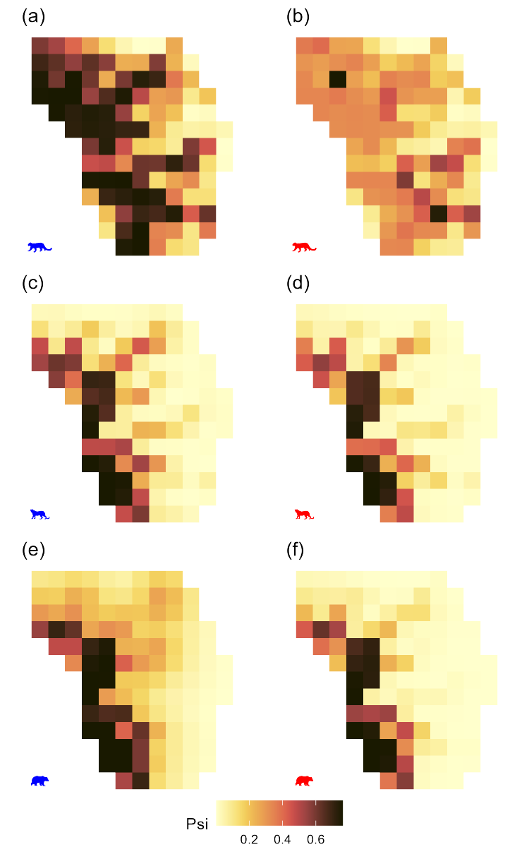 koustubh_sharma's tweet photo. Our findings revealed intriguing patterns and trends in the distribution of #SnowLeopard, #CommonLeopard, and #AsiaticBlackBear over time
8/14 https://t.co/8QIVL0MVUZ