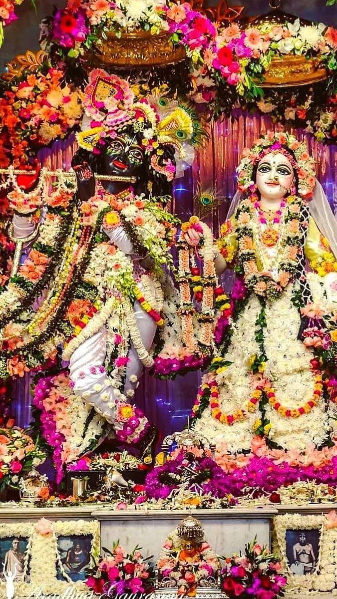 meri_panktiya's tweet photo. जय श्री राधे कृष्णा 🙏🙏 https://t.co/jM5ludis2i
