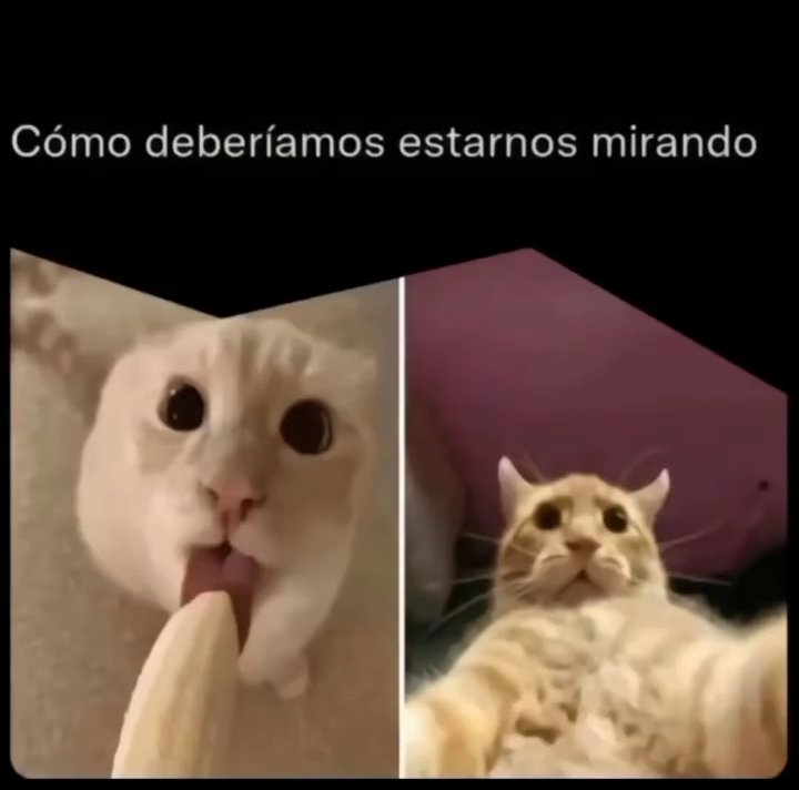 kuki_sam6's tweet photo. Alguien de Trujillo? Yo psvo :)
DM FAST 😻🔥 https://t.co/bn73qAw5ZC