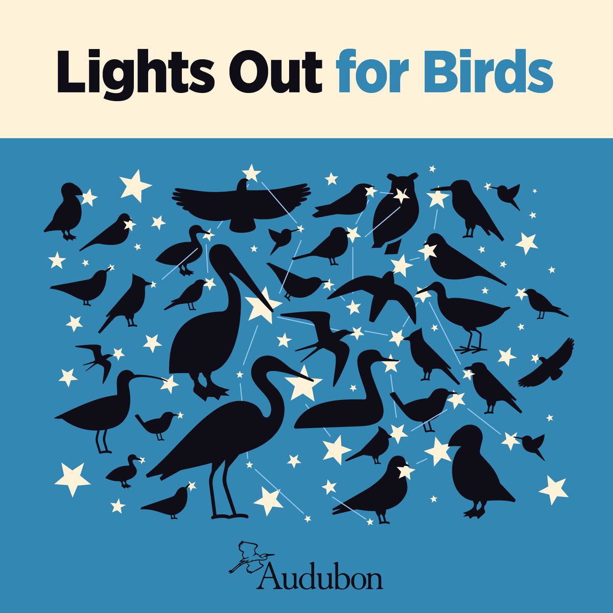 As we approach bird migration season, it’s critical to remember how fatal artificial lights and skyglow can be to migrating birds. Pledge to stand with us as we call on excess lighting to be turned off to help ensure birds have safe passage. bit.ly/458T4W9 #BirdFriendly