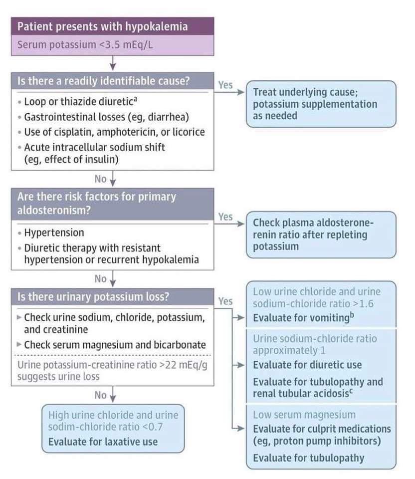 pgMedicine's tweet photo. Hypokalemia 
⬇️K+
Management and evaluation 

For regular uploads of valuable medical videos
Subscribe 👇
https://t.co/eo0l4HppZ1 https://t.co/qH51r32ixg