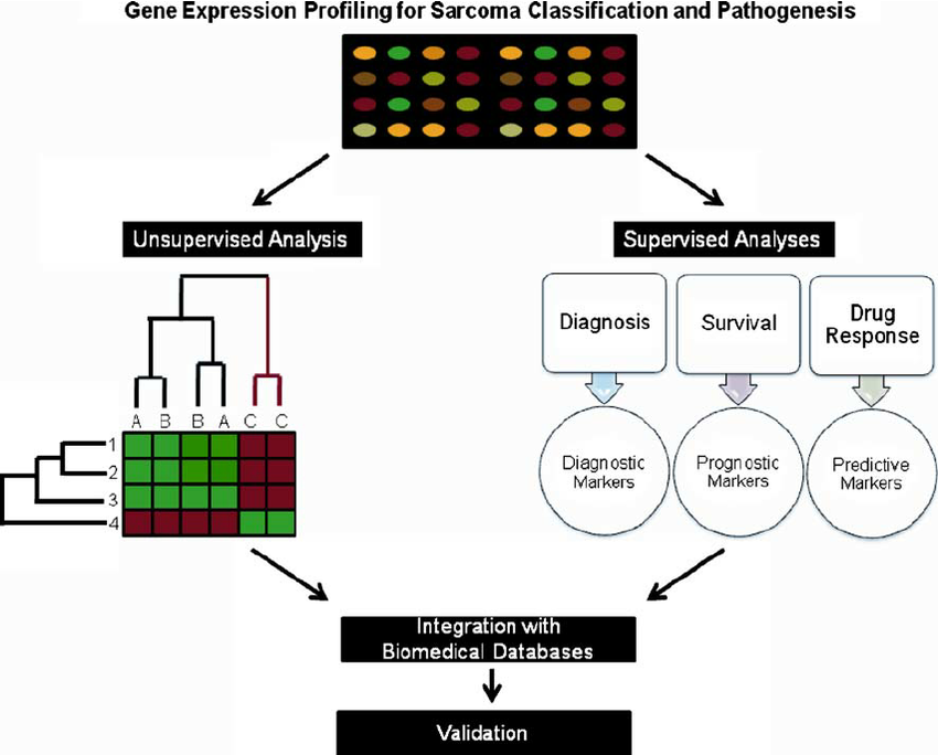 AAGMBJ's tweet photo. Unlocking the secrets of gene expression profiling 🧬✨ Understanding how genes switch on/off gives us insights into diseases, development, and beyond! 🌟🔍 #GeneExpression #ScienceUnveiled https://t.co/dL7FOBkkva
