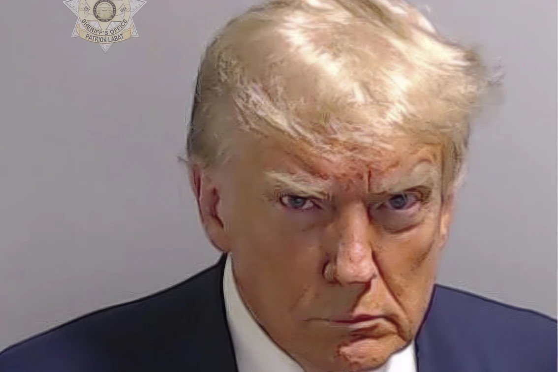 BasedMikeLee's tweet image. Nothing says “protect democracy” quite like filing politically motivated criminal charges against the current president’s leading challenger.