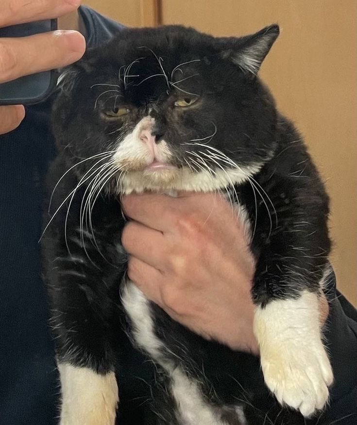 กูที่ผ่านเรื่องราวอย่างหนักหน่วงมาทั้งอาทิตย์ แต่ยังไม่ตาย ยังไหวอยู่