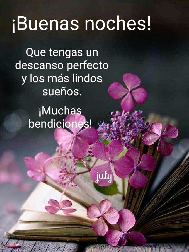 Qué tengas una lluvia 🌨️ de bendiciones 🙏🏻 en está linda noche ✨🌜✨, qué Dios 🙏🏻 quedé contigo 🙏🏻