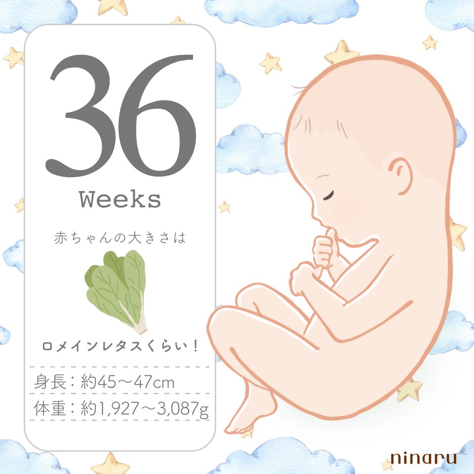 kjm01lv's tweet photo. もう今日で臨月で来週には正期産🤰🏻 ̖́👼🏻♡
恐怖でしかないけど早く産みたい( ꙭ ).ᐟ.ᐟ
来週の健診で何gになってるかなあ、子宮口開いてて欲しいなあ https://t.co/F5BZ8mMLyR