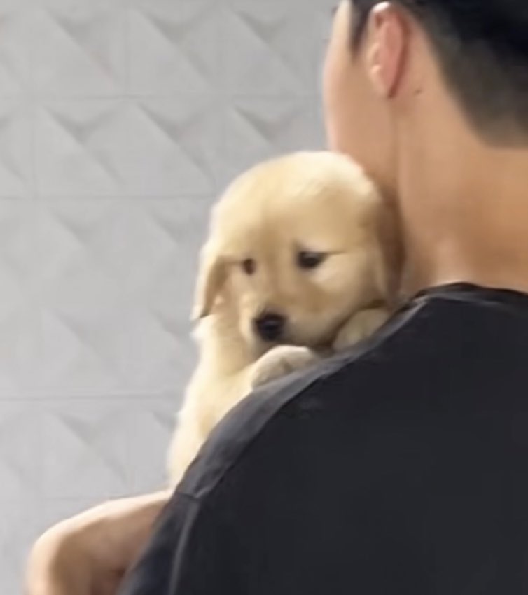 dogonboo's tweet image. ไม่อยากอยุ่กับคนใจล้าย