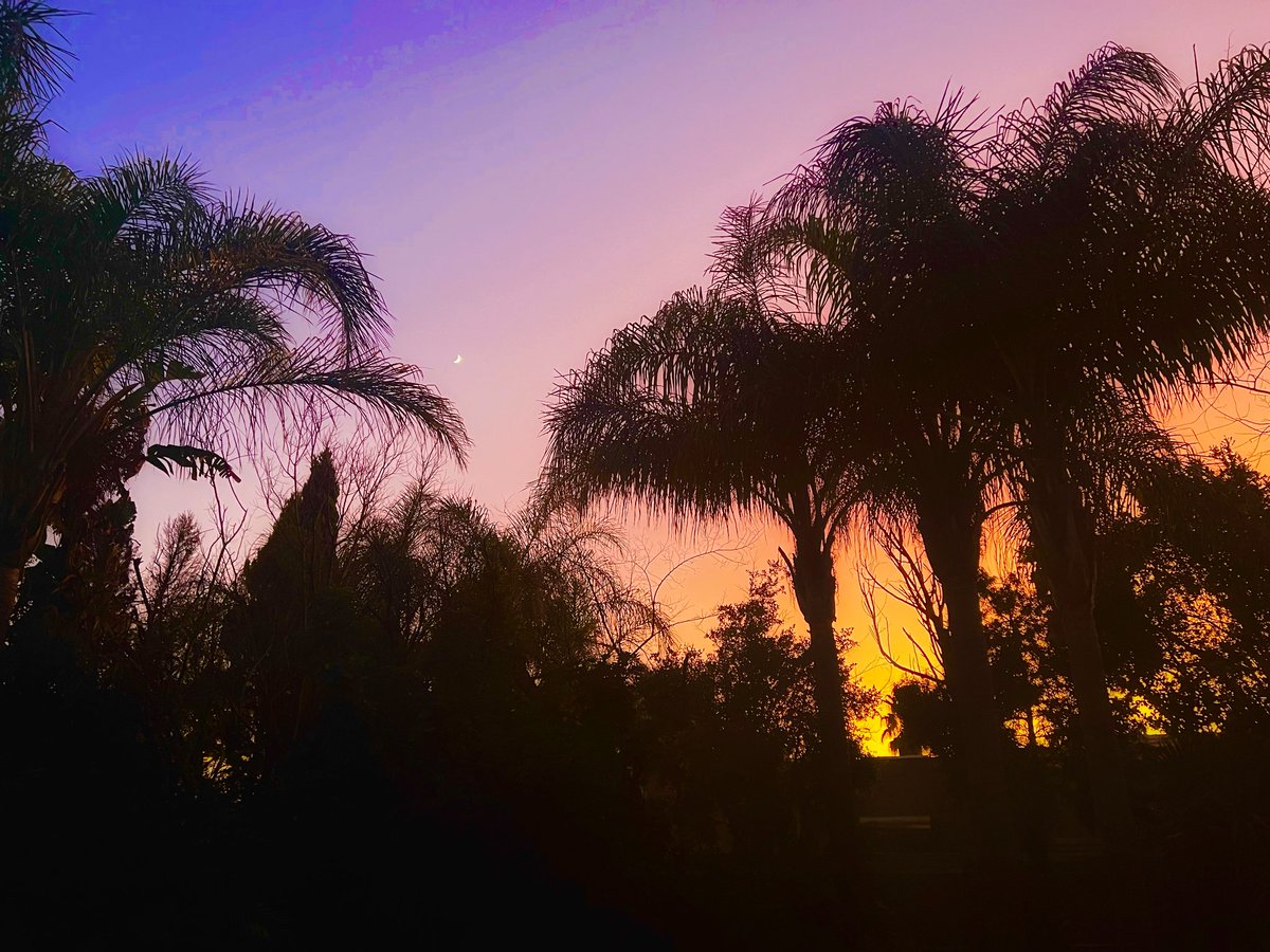 Brent Lindeque tweet media