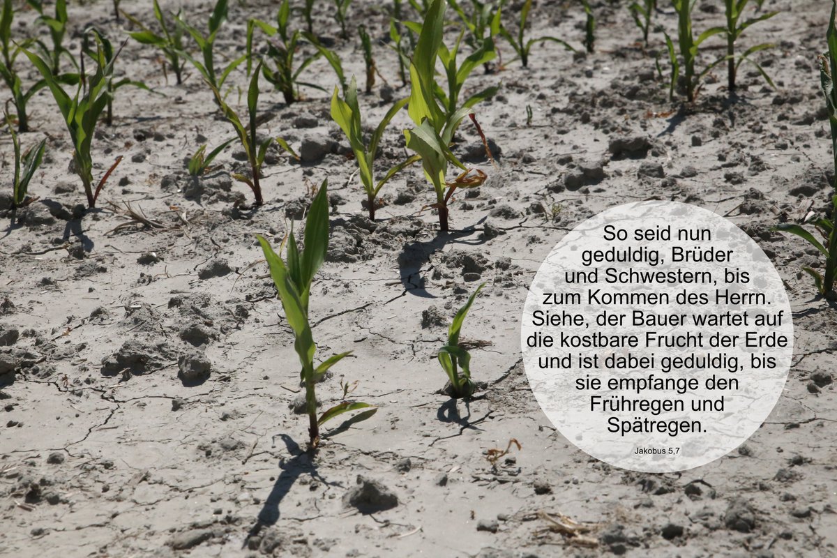 Geduld ist mit sicherem Blick auf das Ziel möglich. Sagt Jakobus. Na. Ich hab da ja so meine Zweifel...... Der Tag, er sei euch gesegnet. Guten Morgen miteinander!