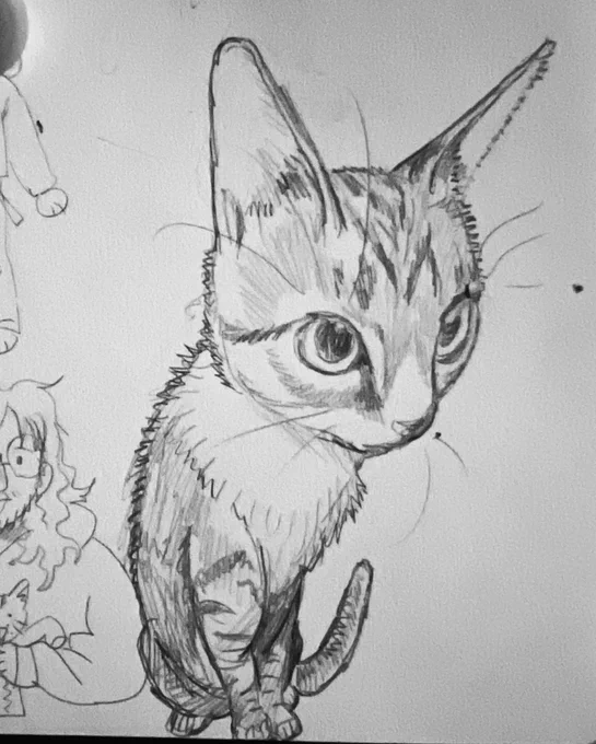 francis franker studies *_^