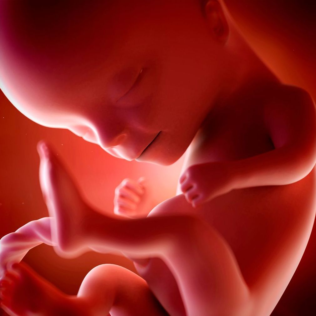 Infanticide et avortement ow.ly/WaVa104S9pX