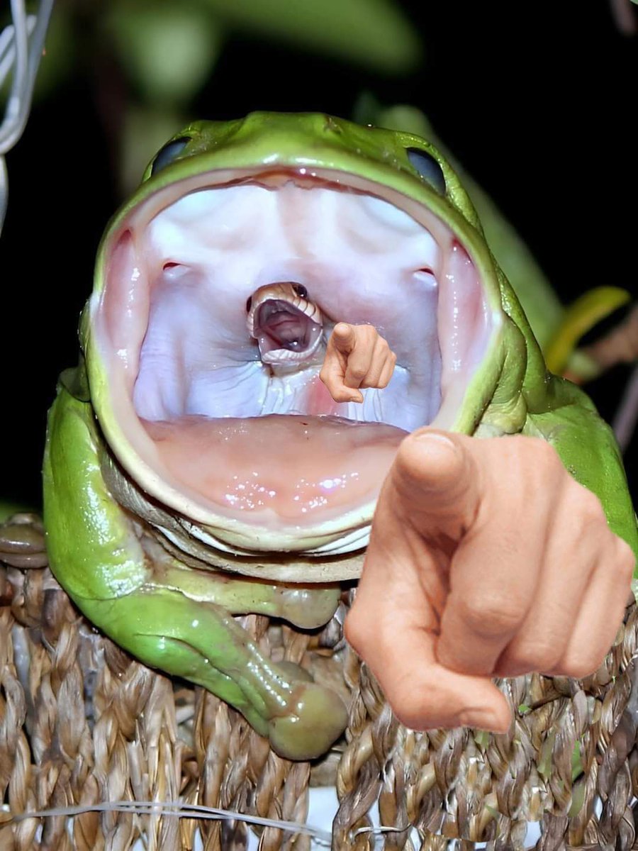 JackStep tweet media