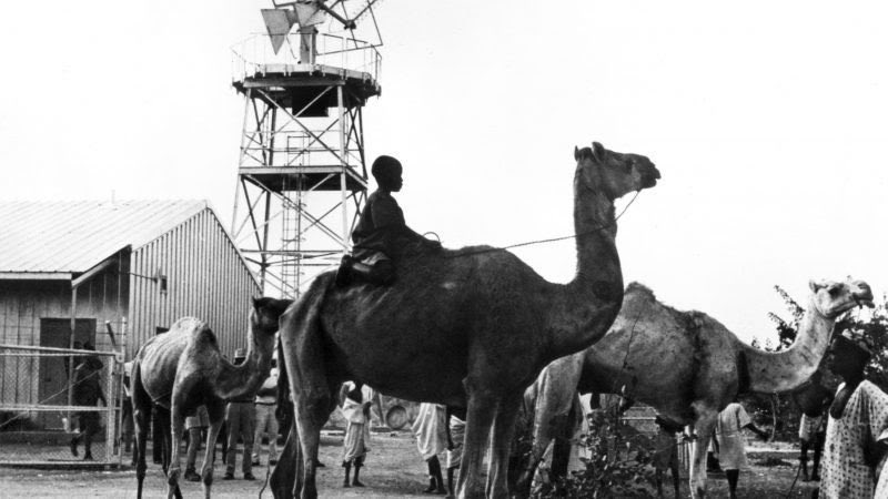 Kano Chronicle tweet media