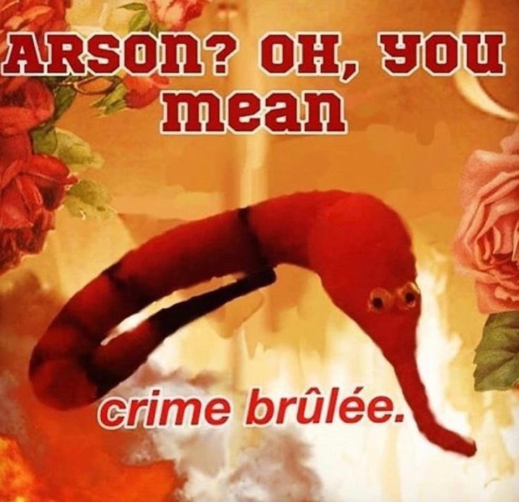 🌸Wilford Warfstache🌸 (@discodarllng) on Twitter photo 