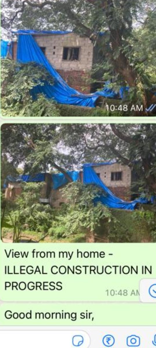 Dream Marol tweet media