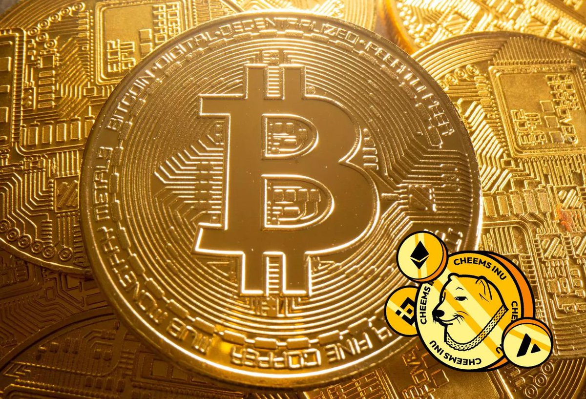 matrixxxx66's tweet photo. Cheems Inu: Carrying on the Crypto Legacy as Bitcoin's Adorable Offspring πΆπͺ
#CheemsPower #ToTheMoonWithCheems #CheemsCoin #Cheems1000x #cheems #CheemsInu #CheemsArmy #AVAX #BNB #ETH #1000XGEM #tothemoon #bullish https://t.co/vVV9mbCTAc