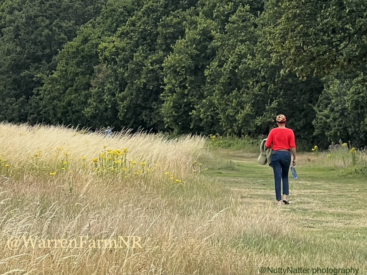 Walking in #nature boosts both physical & mental #health🚶🏽‍♀️It reduces stress, improves mood, gives greater nature connection & highlights the value of environmental health💚 #WarrenFarmNR receiving Local Nature Reserve designation will ensure public open access for all🙌🏼🚶🏼‍♂️🌿🦋🌸