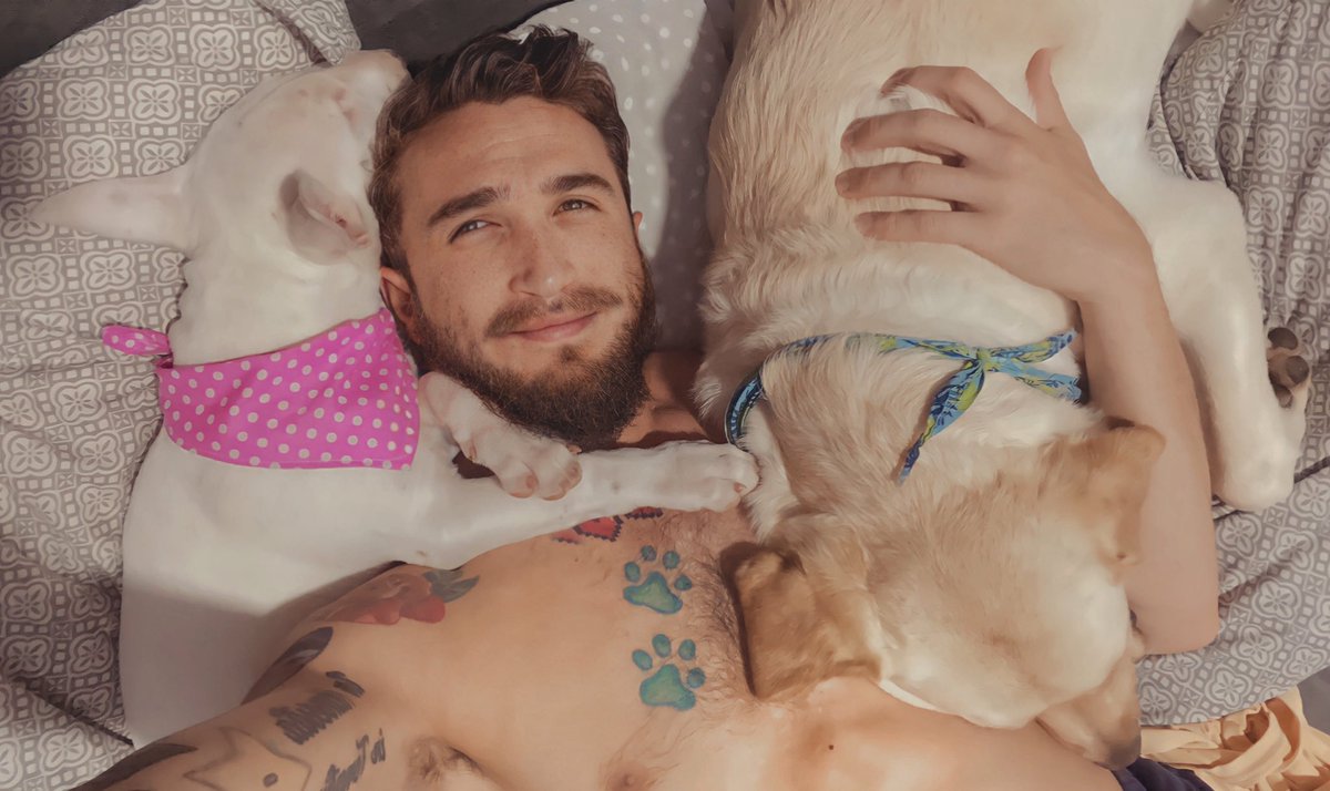 DannyRabbit21's tweet image. Ig: dafa121 y sus bendis 🐶🐰🐶