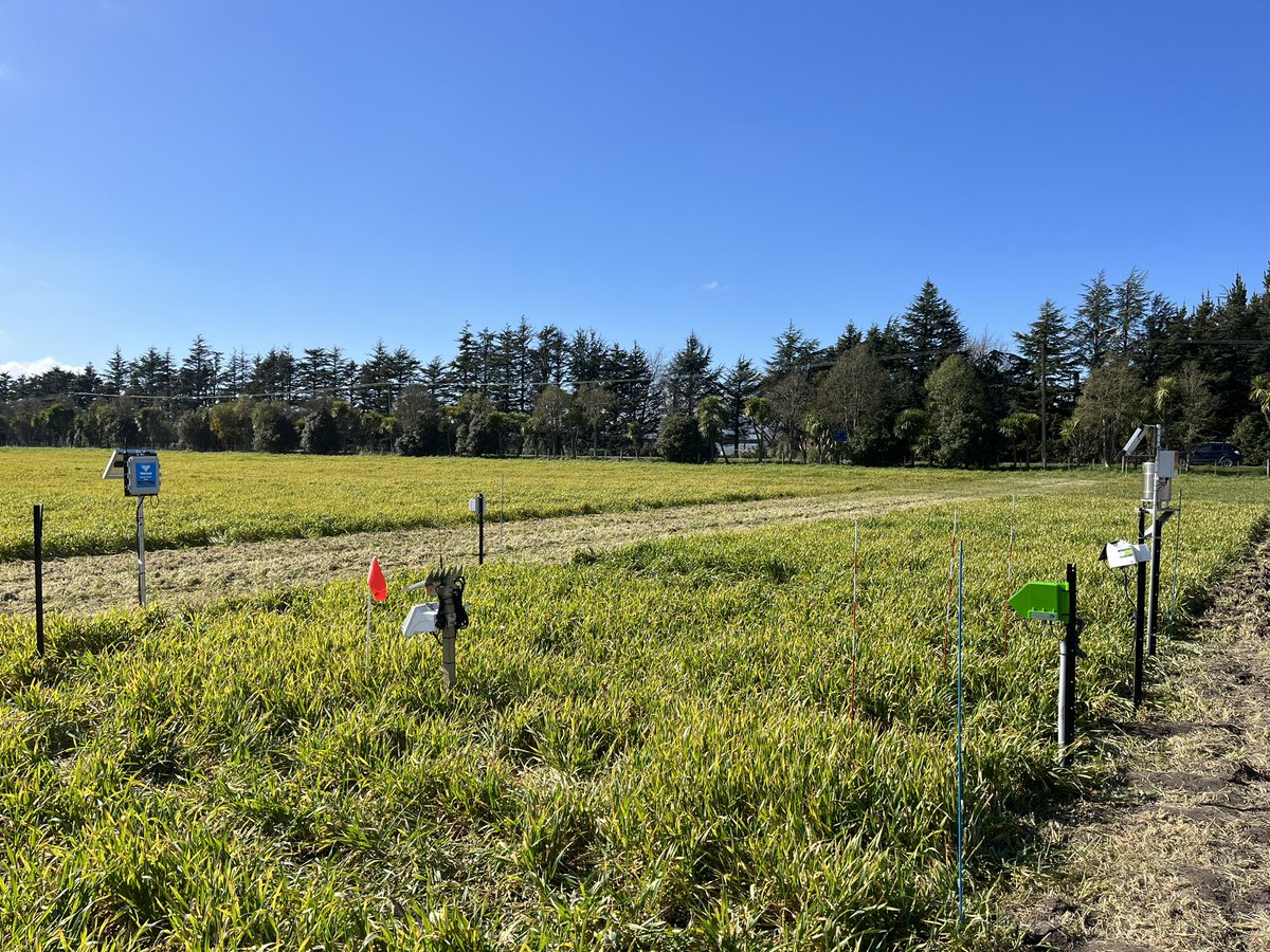 ChrisSmithnz's tweet photo. Second day of probe installs for the FAR soil moisture monitoring g demonstration. Thanks to all the companies involved. #FAR #moisturemonitoring #PrimaryInsights #Onfarmdata #Vantagenz #agriwaterservices https://t.co/puVAwzvlfm