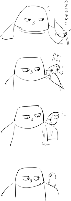 インコ四コマ 