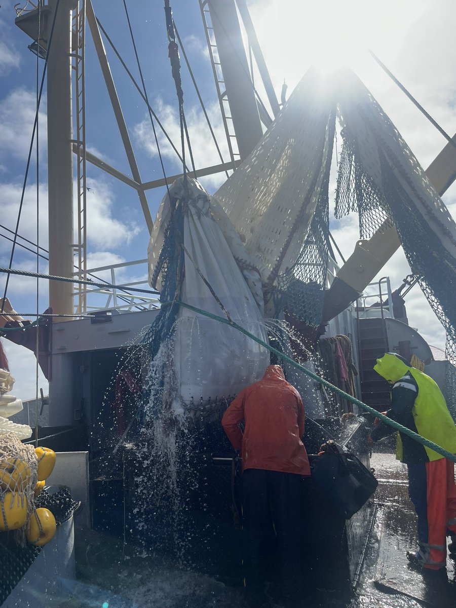 btscholten's tweet photo. Afgelopen week een reisje mee geweest op de KW-145 met de kiwikuil. Vis van top kwaliteit! 🐟 #KW145 #Kiwikuil #Visserij https://t.co/MIgdGr5xcA