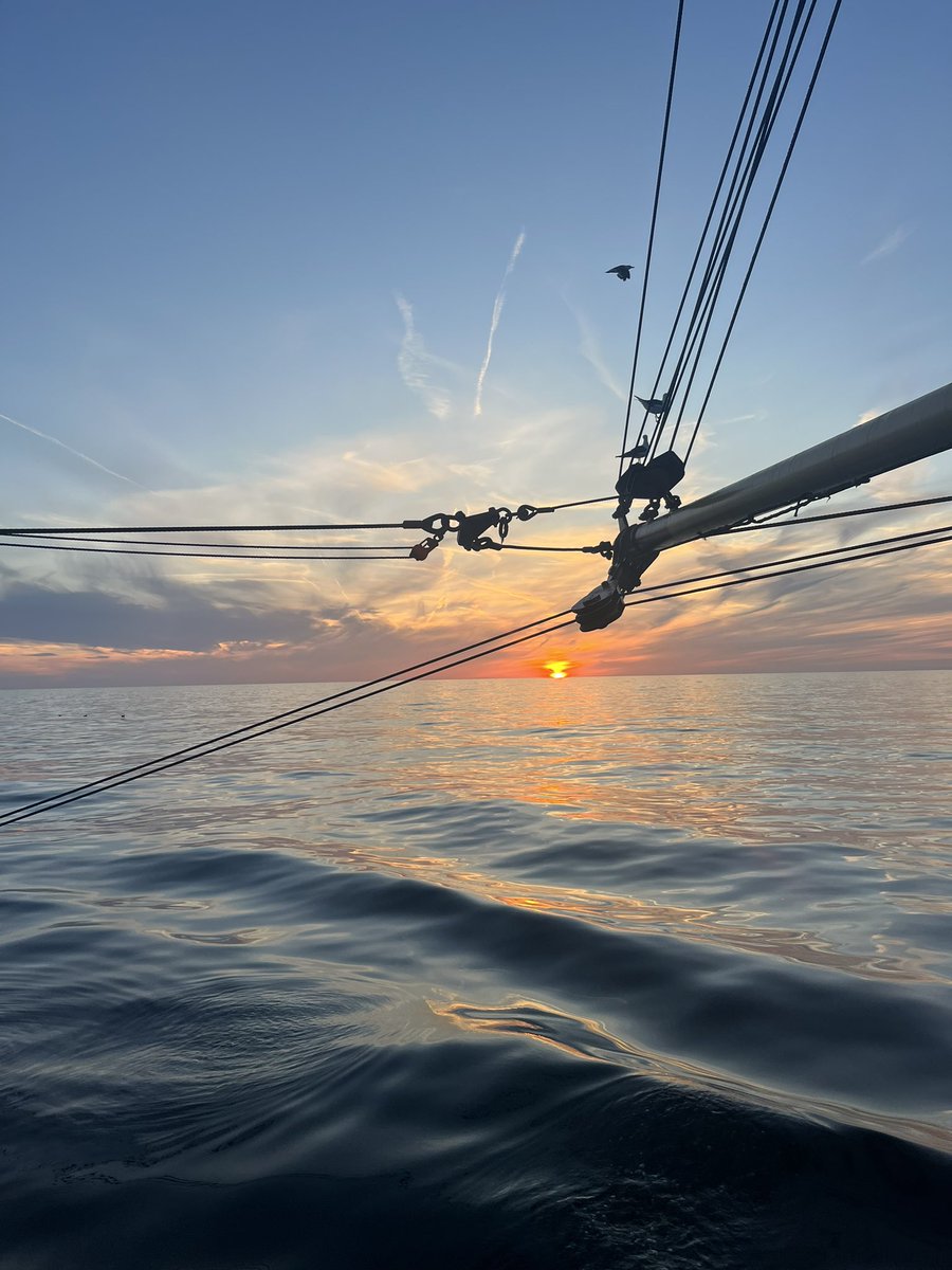 Afgelopen week een reisje mee geweest op de KW-145 met de kiwikuil. Vis van top kwaliteit! 🐟 #KW145 #Kiwikuil #Visserij