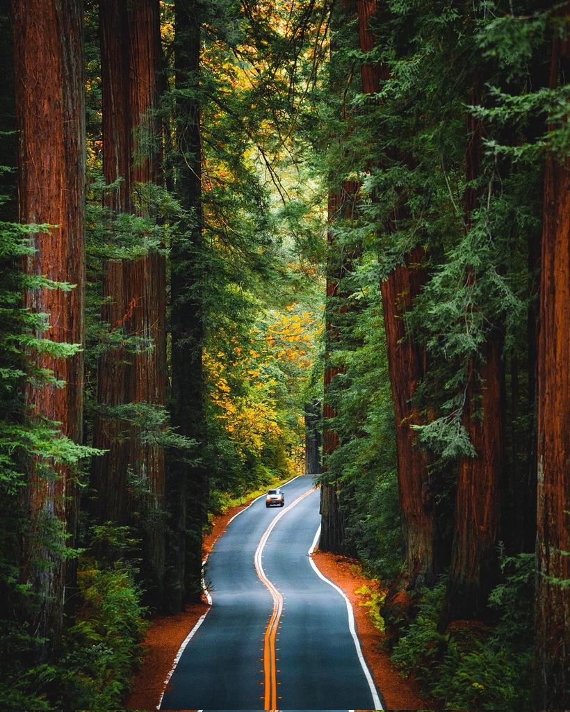 Pretty Cities tweet media