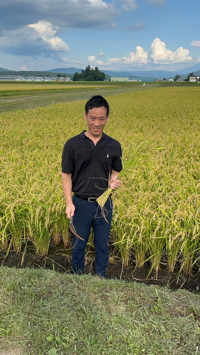 minakenbo's tweet photo. 泉大津市と旭川市(今津市長)さんで、「農業連携協定」を締結しました。泉大津市は、全国の農業地帯を持つ自治体と連携し、就学前から小中学校で使用するお米(特別栽培米、有機JAS米)を購入する独自のサプライチェーンを構築していってます。

旭川市さんからは今年度、有機JAS米を20トン仕入れさせていただき、金芽米加工をして泉大津市の給食で提供させていただきます。有機米の生産現場でお話を聴き、大変なご苦労や使命感を感じ、敬意と感謝の気持ちが溢れました。子どもたちに届くのが楽しみです。

さて、日本の自給率は低く、農業従事者の高齢化が深刻化する中で、資材価格の高騰もあり、年々耕作地は減少しています。こののちも今の流れだと生産量は減る一方。

また世界情勢の不安定化や、国内でも気象の影響で米の不作も不安視される地域もあったりと、いつ令和の米騒動が起きてもおかしくないくらい食料事情は不安定だと感じています。

このような状況下、泉大津市の農地は市の面積の3%と極めて小さく、ひとたび市場が混乱すると、市民生活に大きな影響が及びます。同様の問題が全国の農業の弱い都市部で起こってもおかしくない状況だと考えています。

泉大津市含め川下の都市部(人口が多く、農地が小さいエリア)は、川上である農業地帯を持つ自治体、一次産業に従事されてる方がいてこそ生かされています。

今回のプランは、都市部が直接お米を購入させていただくことで、安定的に生産を継続してもらい、市場価格に左右されずに安定的に仕入れさせてもらう、共存共生の新たな仕組みです。

泉大津市の食料安全保障を守り、全国の農産地を応援するプランです。

協定締結をしていってる自治体さんからは、深刻化する農業課題の解決のための希望の連携だと喜びのお声をいただいております。

人口の多い都市部がこうしたサプライチェーン改革をすれば日本の農業の維持、発展の土台づくりにつながるのではないかと思います。

食べることは生きること。何を食べるかで健康にもなれば、病気になりやすい身体にもなる。

医食農同源、身土不二。

なにがあっても、ちゃんとしたものを食べていける状態を維持する。
泉大津市民の命と健康を守るため、ひいては日本の農業、日本人の命と健康を守るため。そうした使命感で職員と力を合わせて動いています。

来週は、滋賀県東近江市、熊本県人吉市さんと協定締結です。