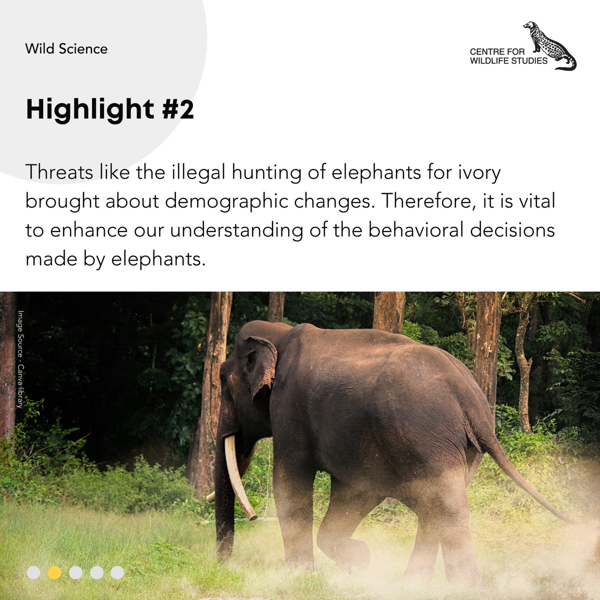 cwsindia's tweet photo. Check our latest blog at https://t.co/QDq9KzwOT8 to find out more about how insights on individual elephants help in conflict mitigation.
#CWSIndia #WildScience #elephants #asianelephants #elephant #wildlifephotography #blogger #scienceblog #research #conservation #species https://t.co/rPzuYMpjLD