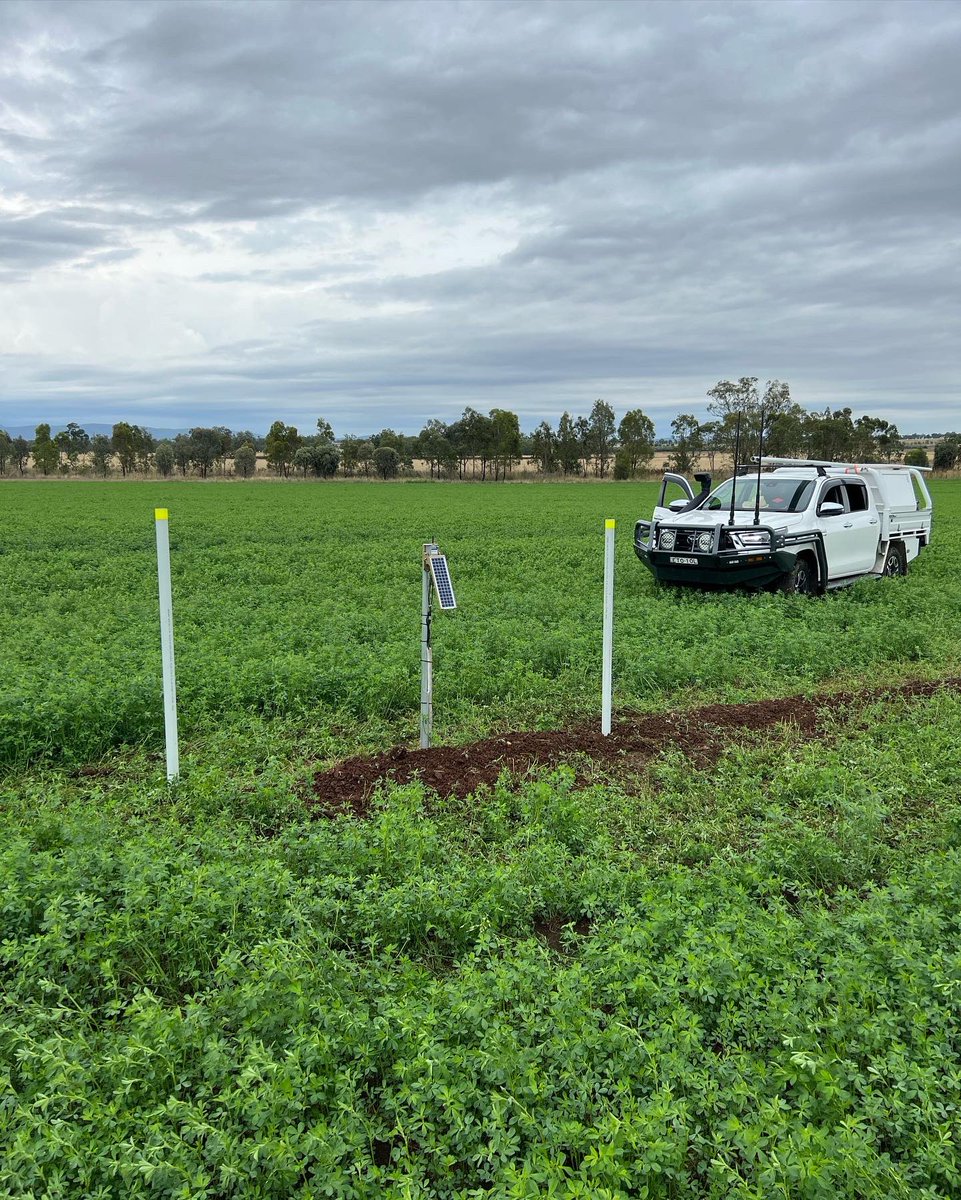 Porosity Services tweet media