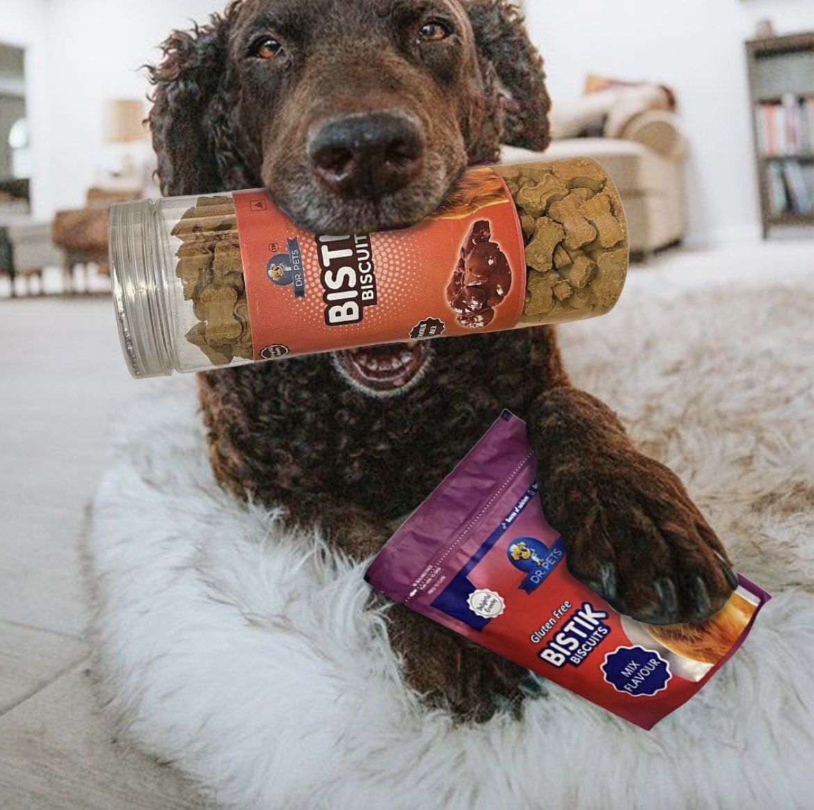 Dr.pets Bistik biscuits 
#dogs #doggo #love #dog #Drpets #dogfood #diet #pets #doglover #animallover #happydog #healthydog #instadogs #petcare #instadogs