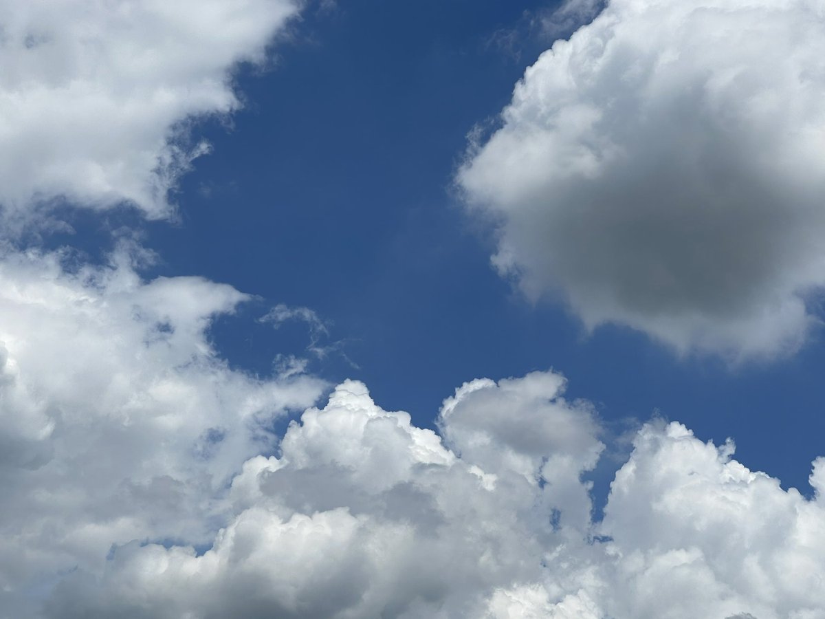 the_21z's tweet photo. ☁️ https://t.co/9rIg0R6eQG