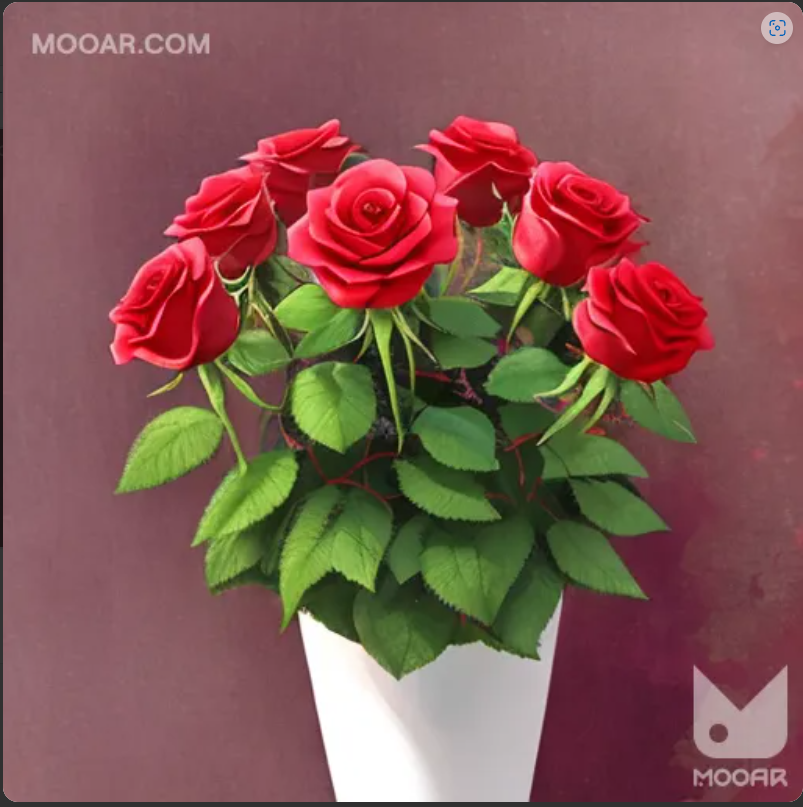 huynhcuong2019's tweet photo. #MOOARFlower #MOOAR
rose this rose that @@ https://t.co/WLtjziLzZl