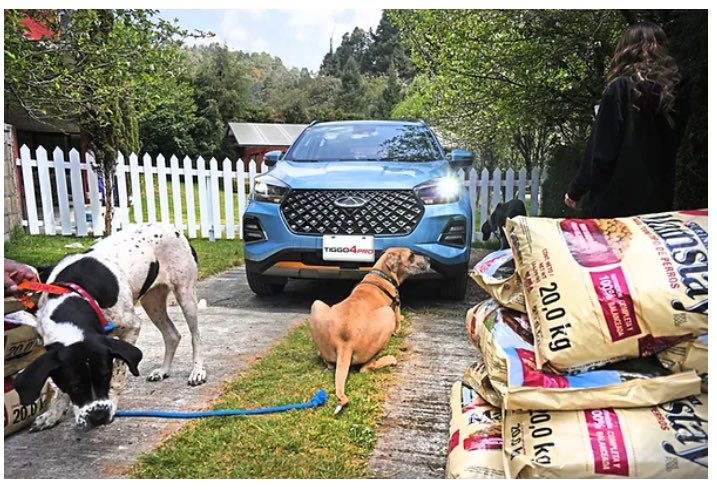 1049Radio's tweet photo. #Chirey una empresa comprometida con la sociedad es #ElPatro y gracias a #Tiggo4Pro hacen este 2023 una donación de alimentos a animalitos en refugios en #México
#1049Radio https://t.co/XTt6ywfgCB