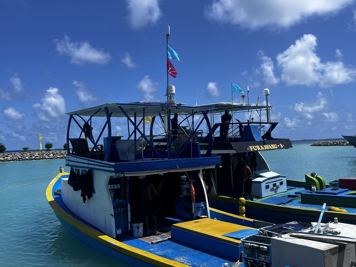 RazzanMDV's tweet photo. މި ނިންމާލަނީ ޗޯރުގެ ވެރިކަން! މަސްދޯނިތަކުގަ ދިދަތައް ބަދަލުވެއްޖެ!

#Muizzu2023 
#MuizzuSembe2023 
#FreePresidentYameen https://t.co/se6IEYzfbI