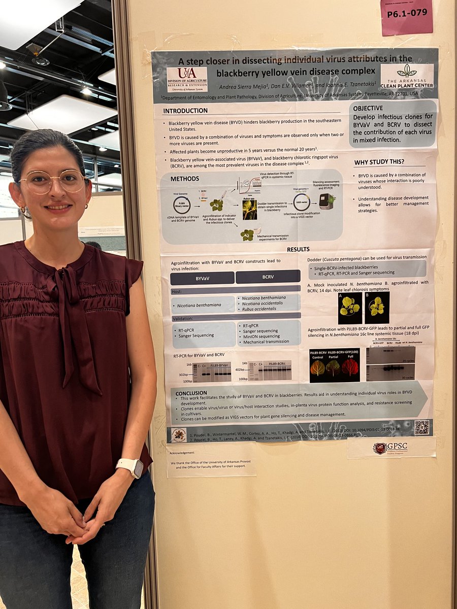 Ioannis Tzanetakis (@ytzanet) on Twitter photo <a href="/SierramAndrea/">Andrea Sierra Mejia</a> during the poster session <a href="/icpp2023/">ICPP2023</a>. Great job Andrea! <a href="/ArkansasEPP/">Arkansas Entomology and Plant Pathology</a> <a href="/UArkansas/">University of Arkansas</a> <a href="/ArkAgResearch/">Arkansas Agricultural Experiment Station</a> <a href="/SierramAndrea/">Andrea Sierra Mejia</a> during the poster session <a href="/icpp2023/">ICPP2023</a>. Great job Andrea! <a href="/ArkansasEPP/">Arkansas Entomology and Plant Pathology</a> <a href="/UArkansas/">University of Arkansas</a> <a href="/ArkAgResearch/">Arkansas Agricultural Experiment Station</a>