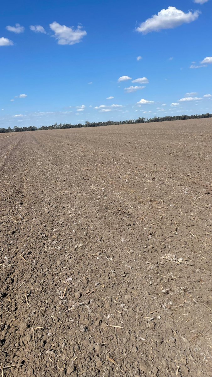 Corey Hart tweet media