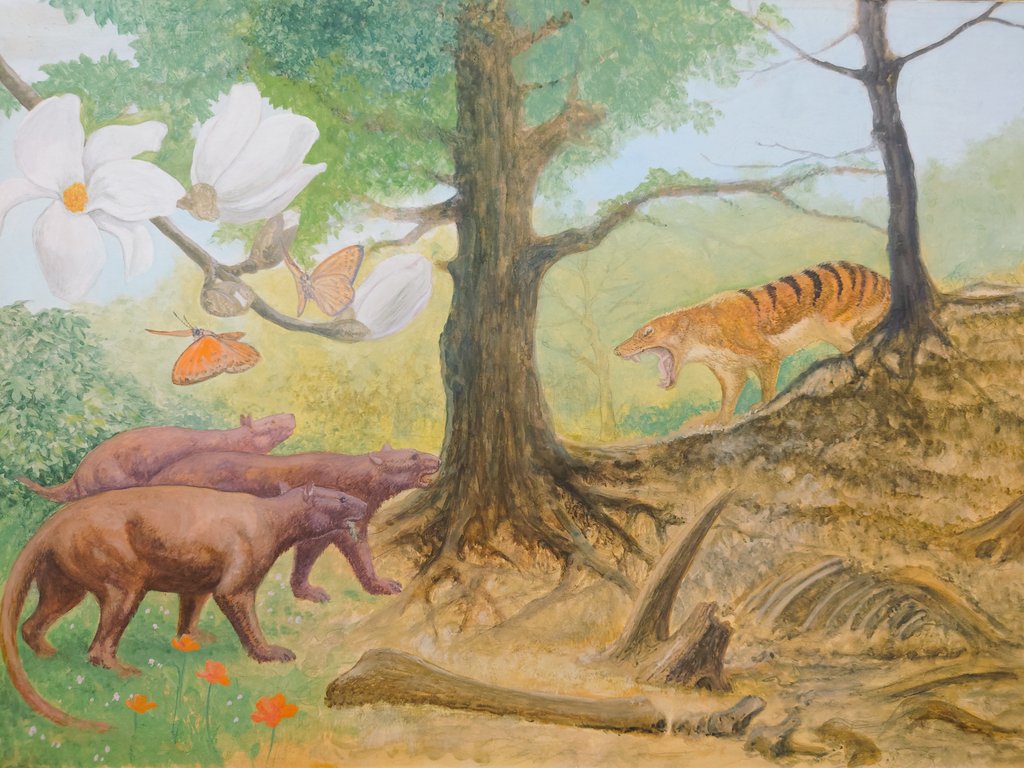 B3サイズ各20000円