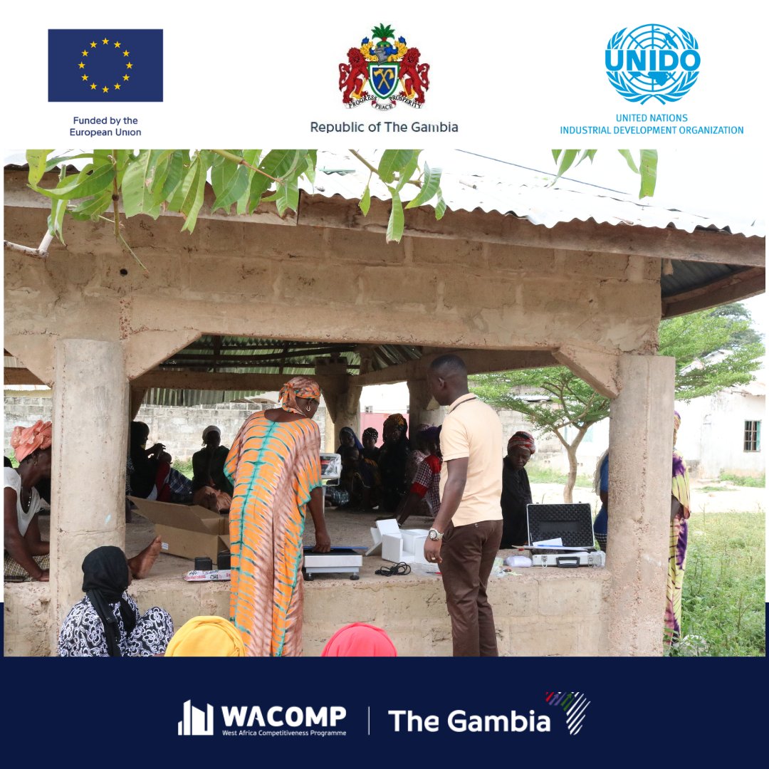 WACOMP_GM's tweet photo. This week- with funding from @EUinTheGambia, #WACOMP_GM🇬🇲 concluded the Assembling🪛&amp; Calibration✅of the bench weighing scales⚖️we supplied to 1⃣2⃣0⃣ gardens in the🇬🇲

These scales will help vegetable growers track their yields, manage their trading produce &amp; increase💹 income😊 https://t.co/TS76PfTBFs