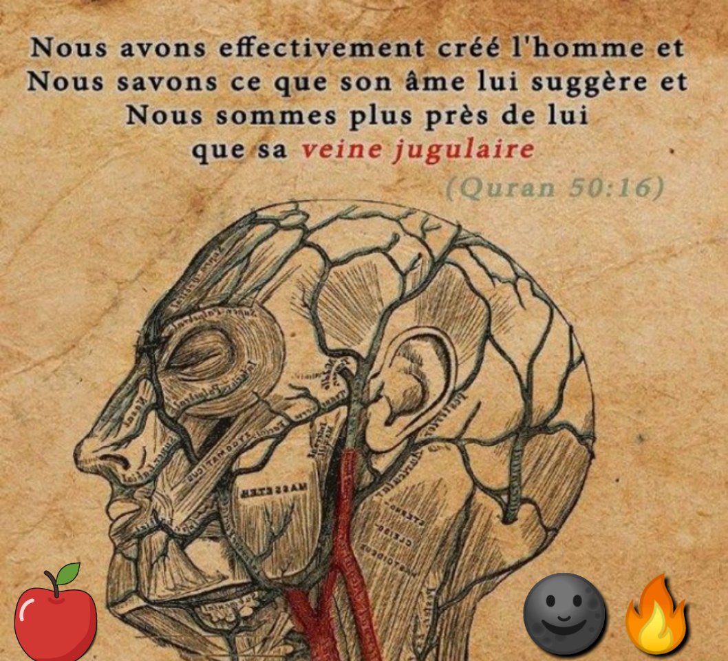 fioreilluminat3's tweet image. #AsShams🌞

Nous ne Pouvons 
Pas Nous #Permettre
d&apos;#Associé Le Nom(s)

#Allah❤

(TOUT #Rassembler)
et Cela,
depuis le Començement,

#BigBangThéorie

L&apos;#Univers🎨🗺🖌

#Akbar Le #Grand

Rien #Existent 
Hormis #Allah❤

#Christianisme🎨S

#Judaïsme,
#Indouïsme,
#Bouddisme ETC...