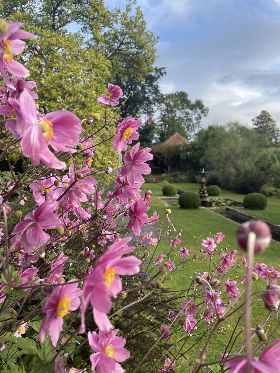 Pretty in Pink. All hues of pinks and purples are out in the Italian Garden this week. It gives the garden the most beautiful burst of colour!