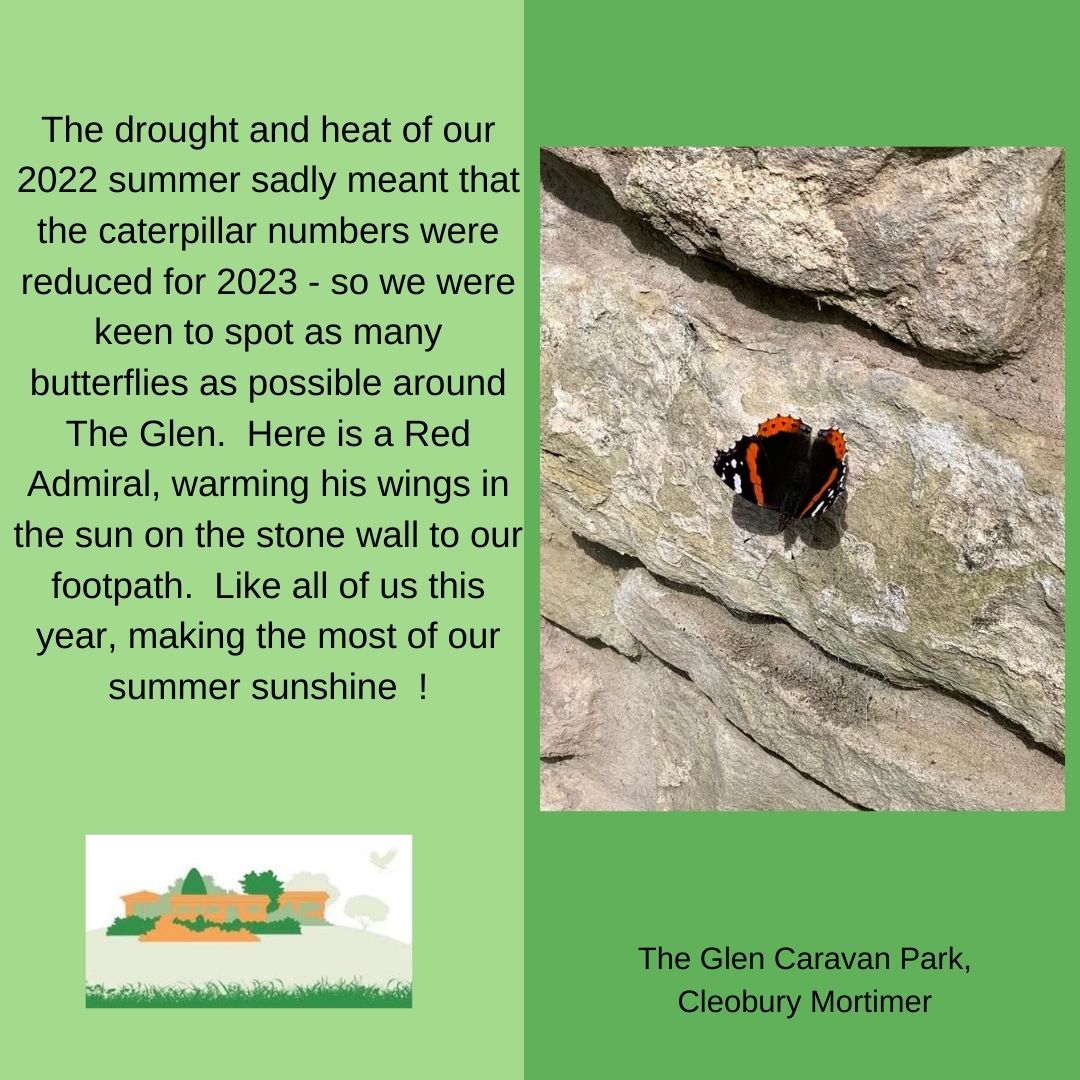 theglencaravan's tweet photo. Beautiful Butterflies don't always have wings .... https://t.co/dUWYNsOYqX