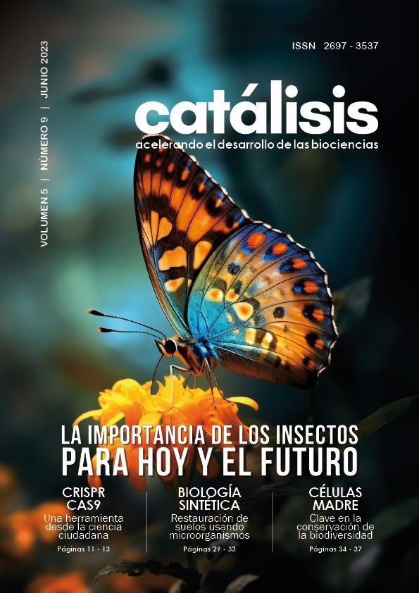 🌱🔬 Te invitamos a leer nuestro artículo en <a href="/CatalisisEc/">CatalisisEc</a>. 

Exploramos la importancia de los insectos para un futuro más verde y saludable. ¡Únete a nuestra misión por un mundo más sostenible! 

catalisisec.com/v5-n9-insectos

#Sostenibilidad #DivulgaciónCientífica #Innovación