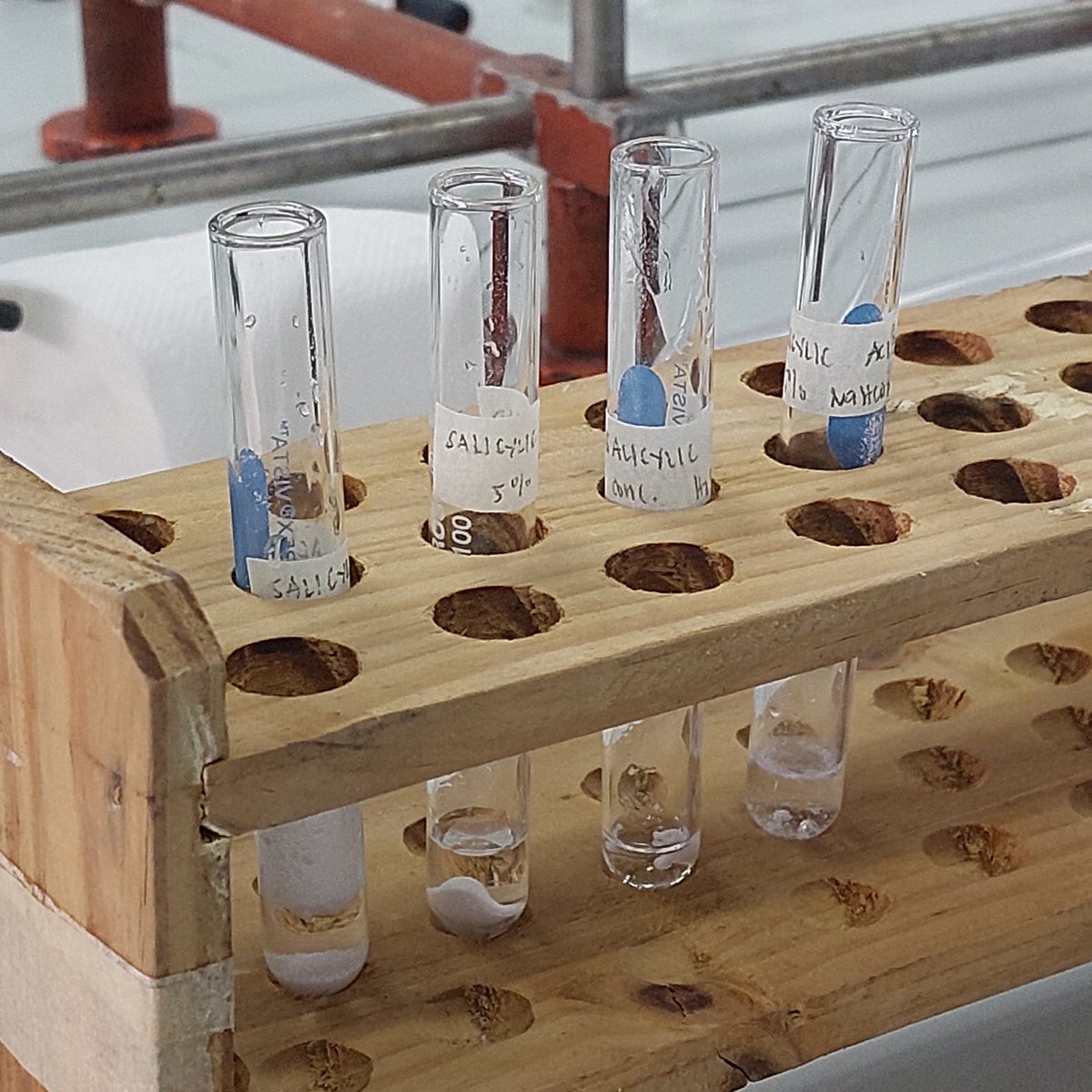 nginitian's tweet image. 💬🧪  hands on lab exps .. . I missed u so bad! #archivetwt