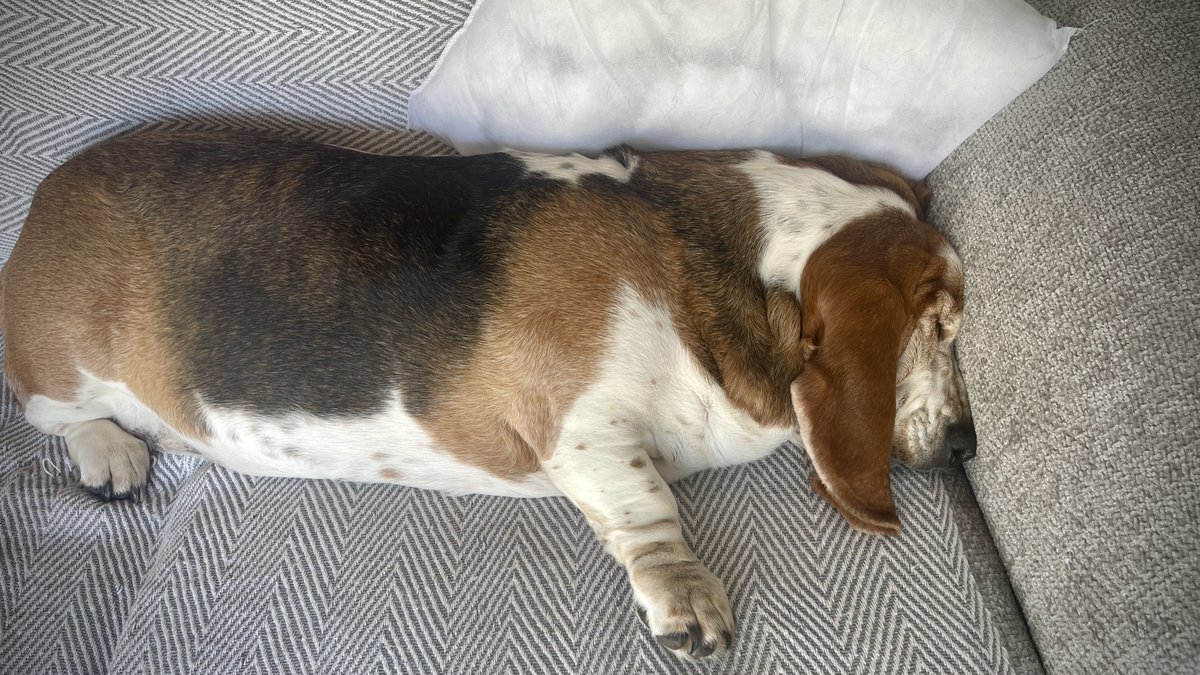 Phil Sledge tweet media