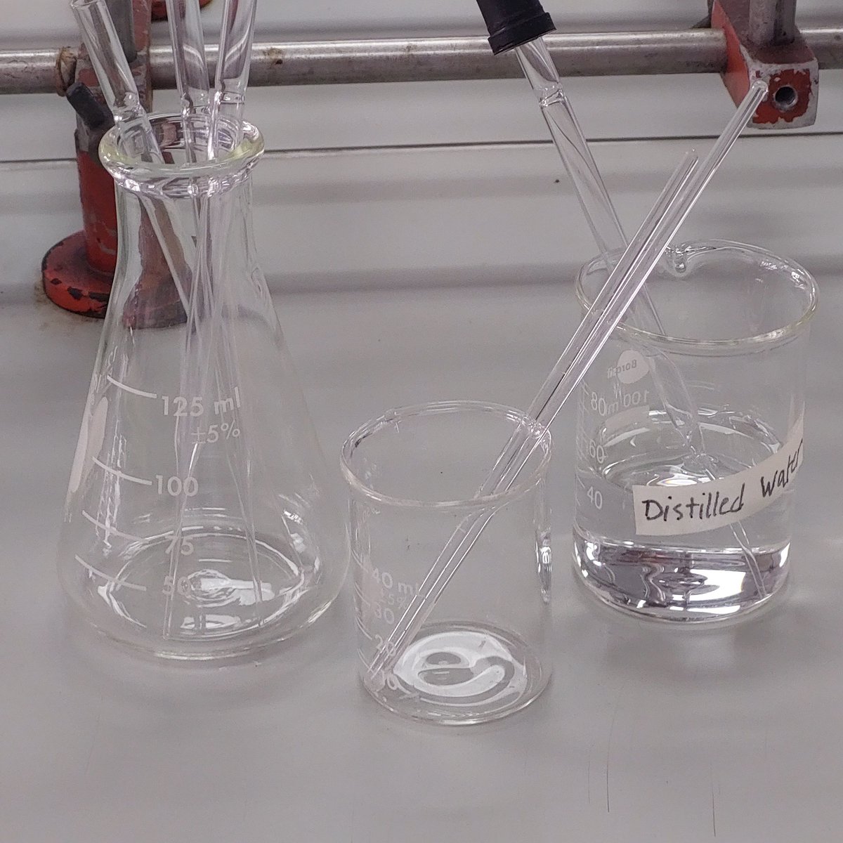 nginitian's tweet image. 💬🧪  hands on lab exps .. . I missed u so bad! #archivetwt