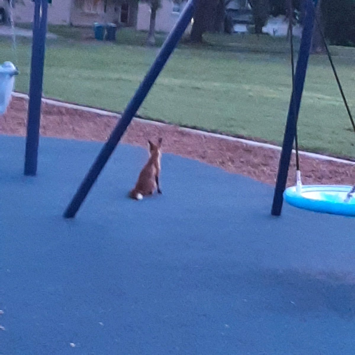 steelebebe1's tweet photo. First one on the new playground.   Couldn’t wait to get to school on the first day! https://t.co/mNYdKpqe1g